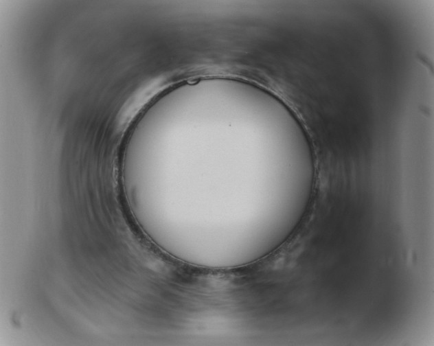 X0000103280103200809121954