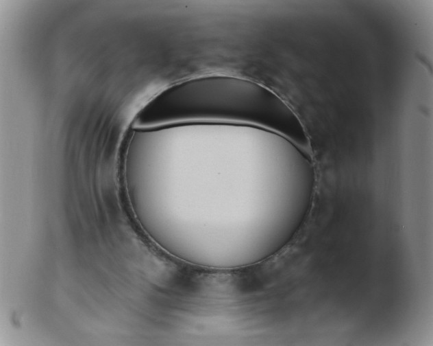 X0000103280104200809121954