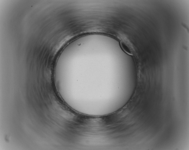 X0000103280108200809121954