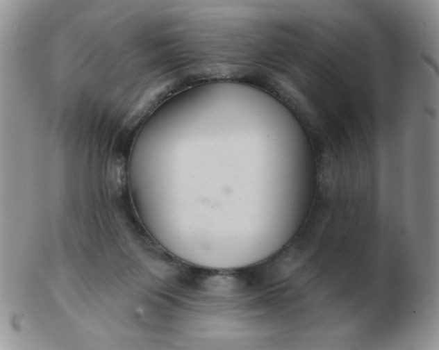 X0000103280119200809121953