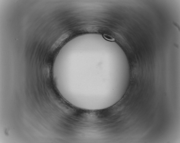 X0000103280120200809121953