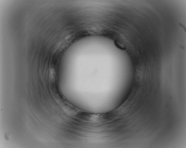 X0000103280130200809121953