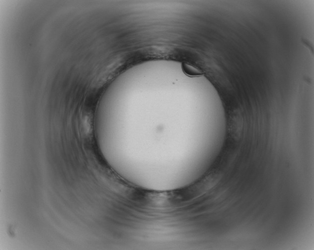 X0000103280131200809121953