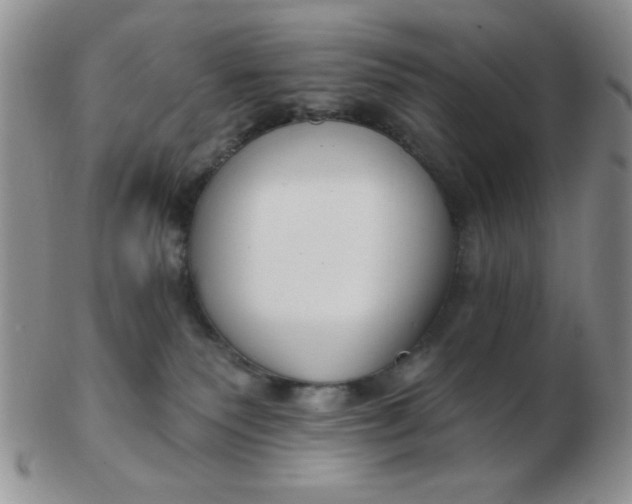 X0000103280135200809121953