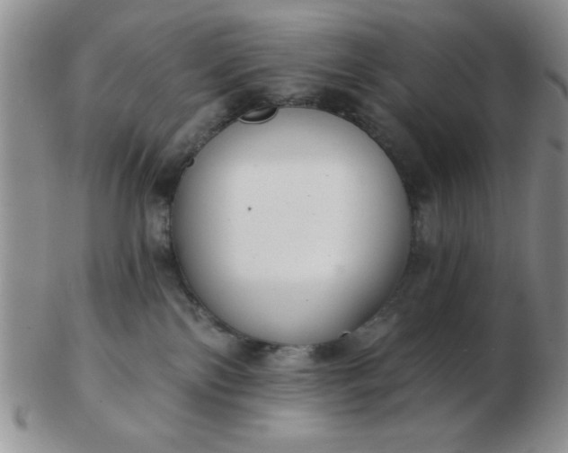 X0000103280138200809121953