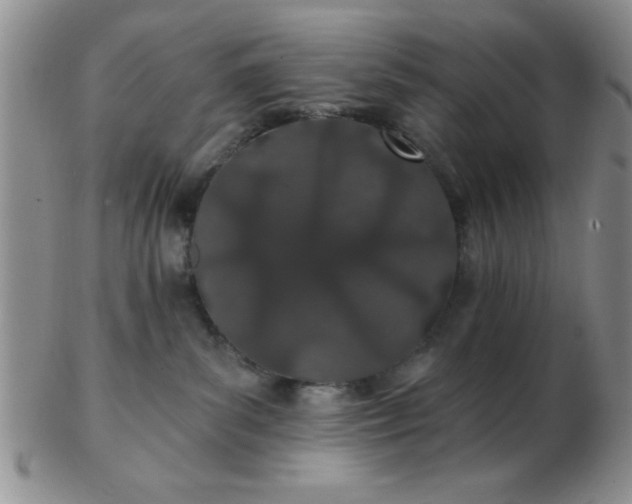 X0000103280139200809121953