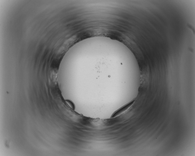 X0000103280142200809121953