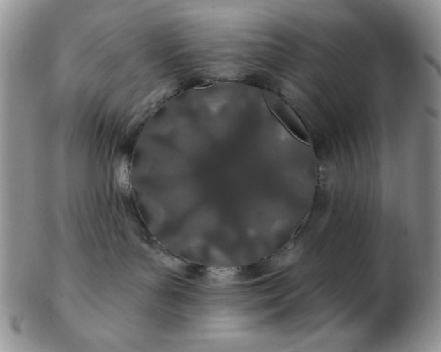 X0000103280143200809121953