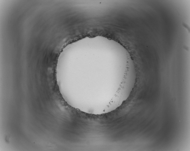 X0000103280144200809121953