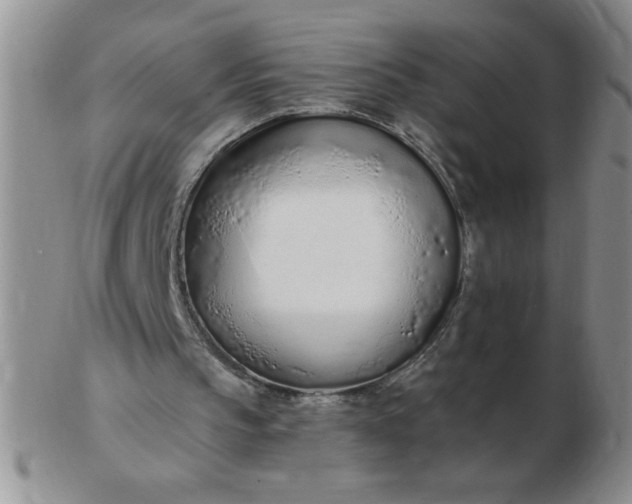 X0000103280145200809121952