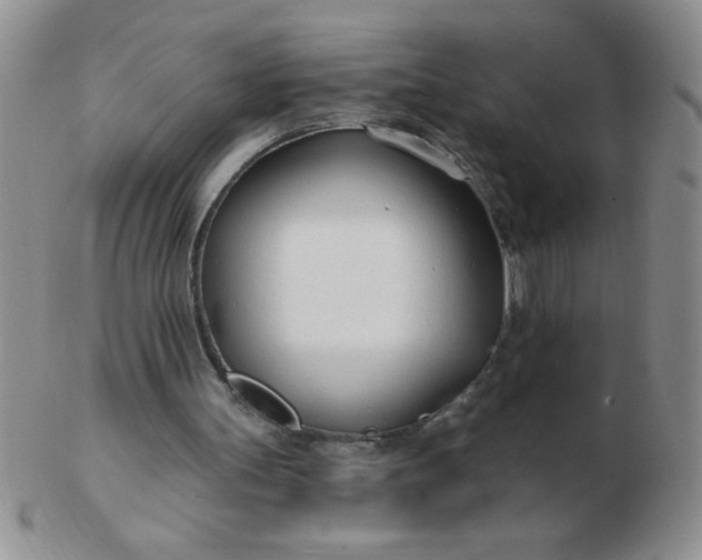 X0000103280147200809121953