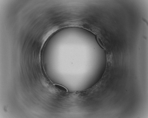 X0000103280148200809121953