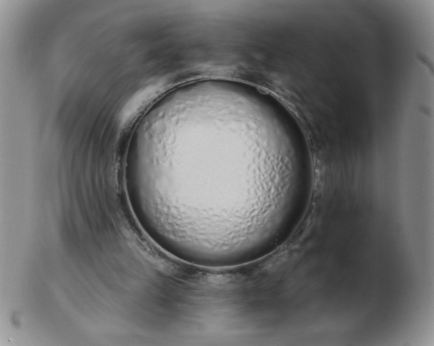 X0000103280149200809121953