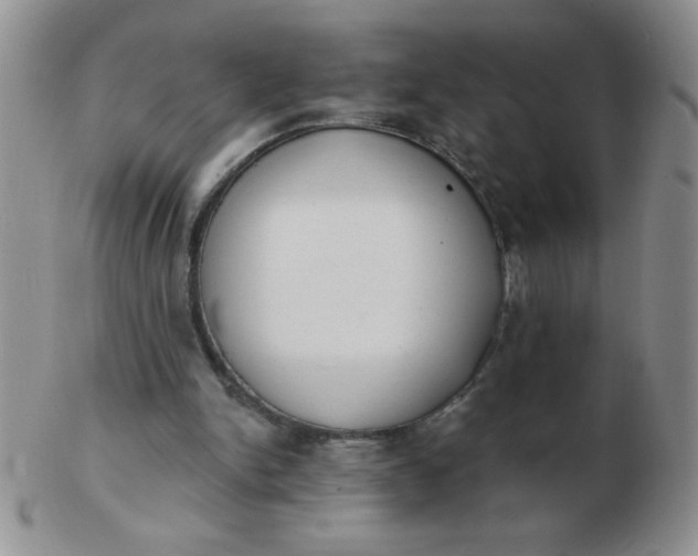 X0000103280150200809121953