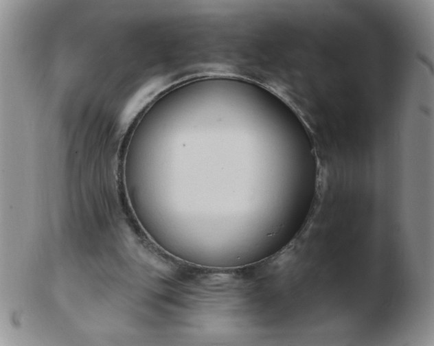 X0000103280151200809121953