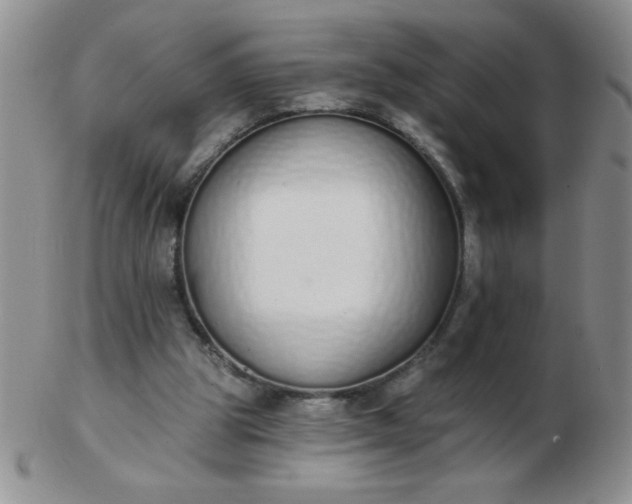 X0000103280153200809121953