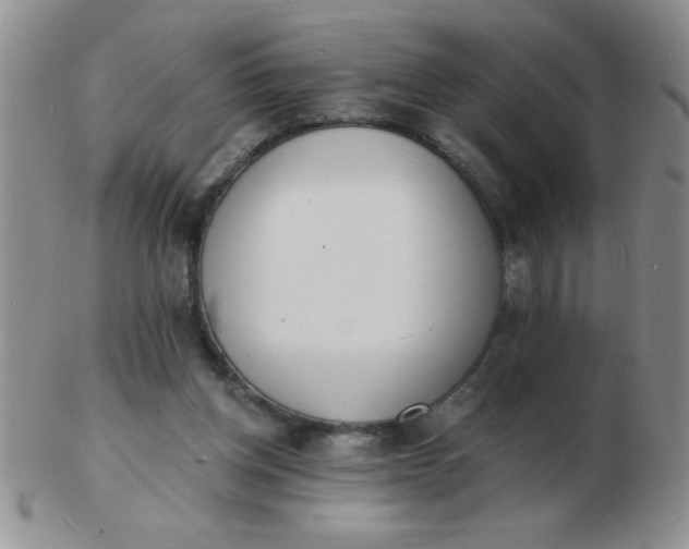 X0000103280158200809121953