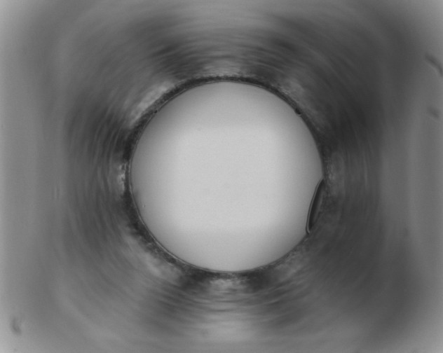 X0000103280160200809121953