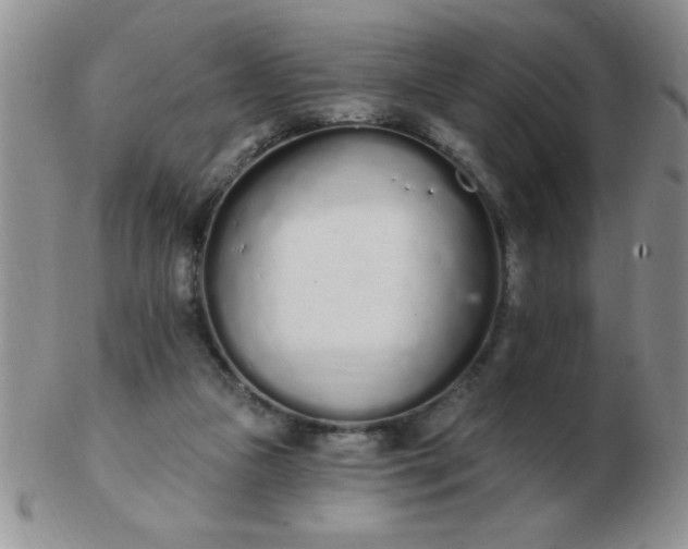 X0000103280161200809121953