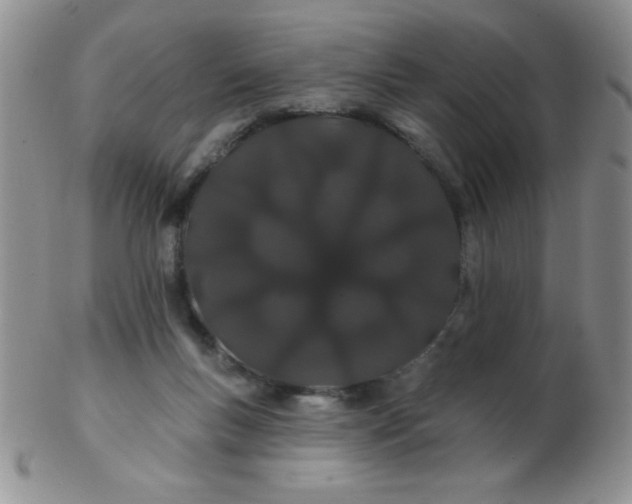 X0000103280167200809121953