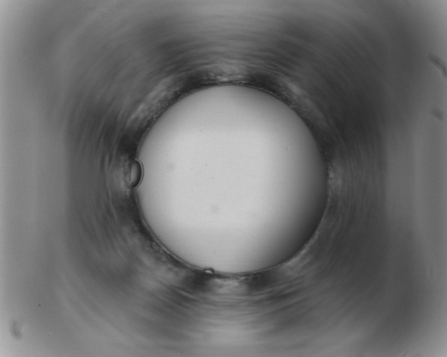 X0000103280170200809121953