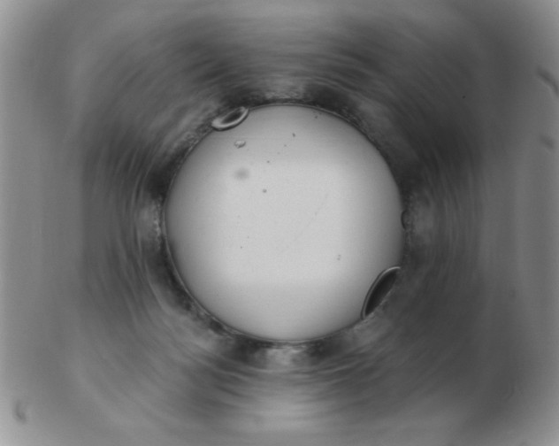 X0000103280172200809121953