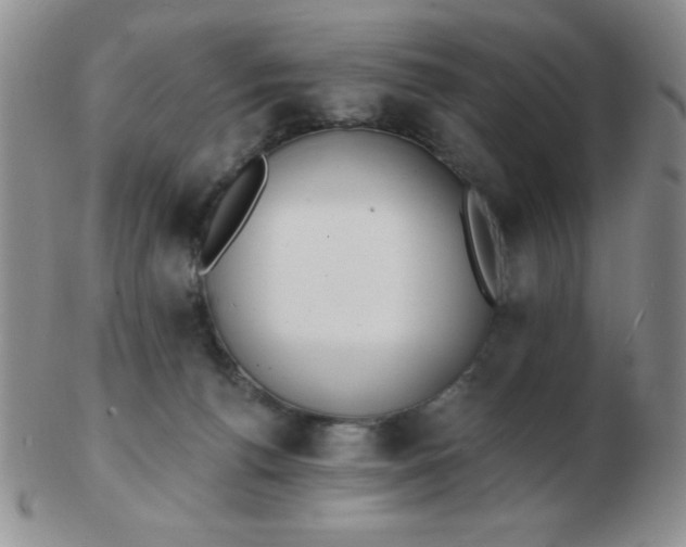 X0000103280176200809121953