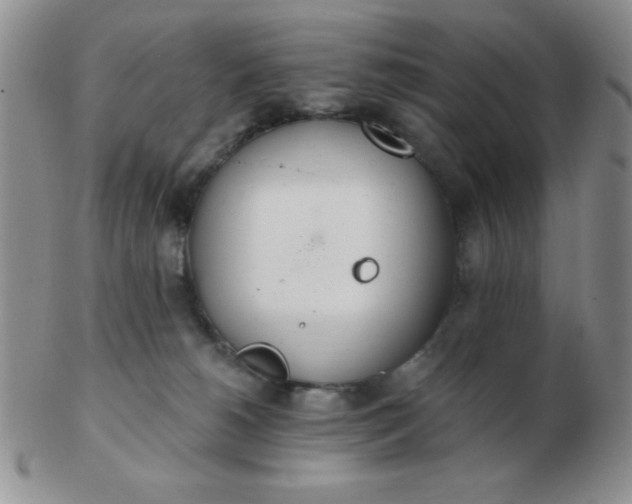 X0000103280180200809121953