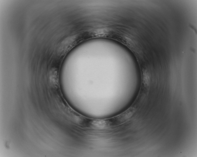 X0000103280181200809121953