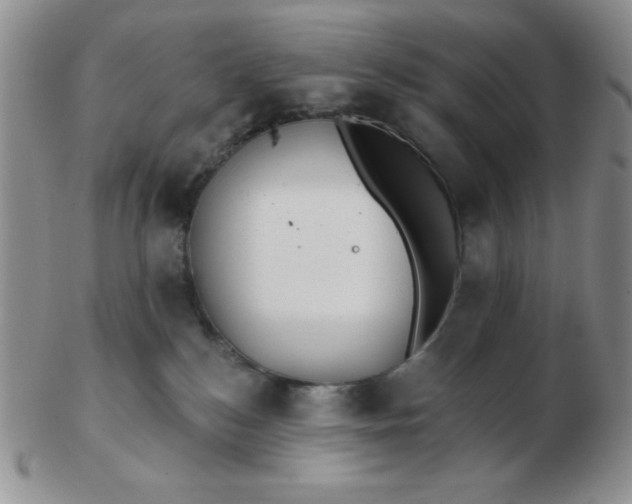 X0000103280184200809121953