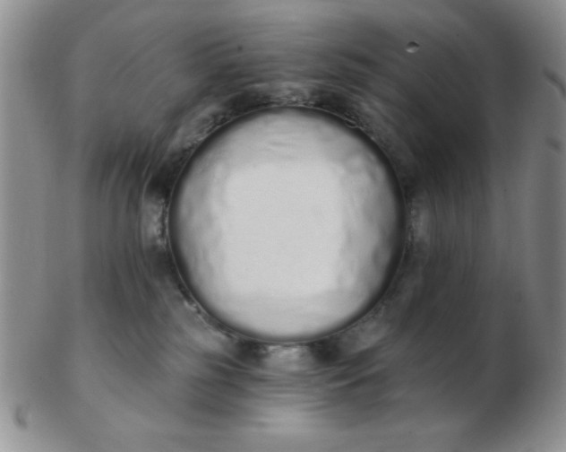 X0000103280185200809121953