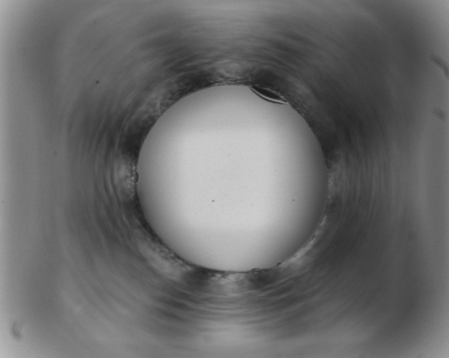 X0000103280186200809121953