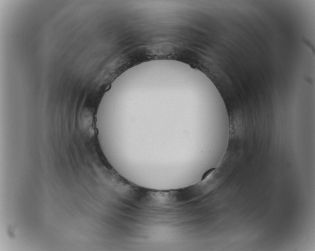 X0000103280187200809121953