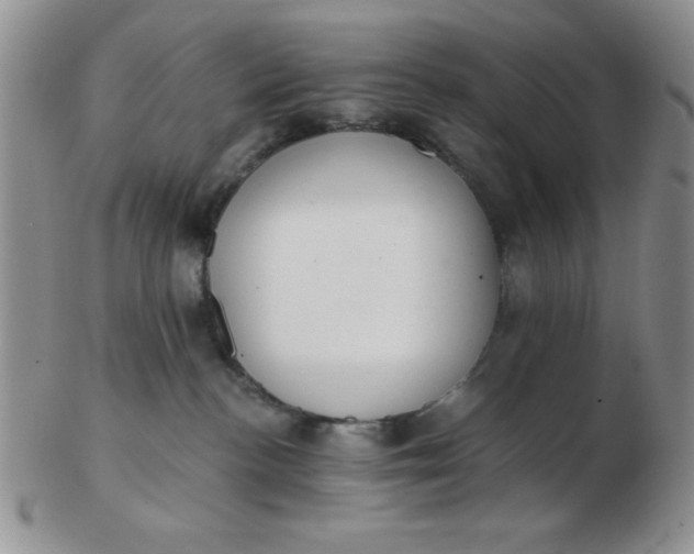 X0000103280188200809121953