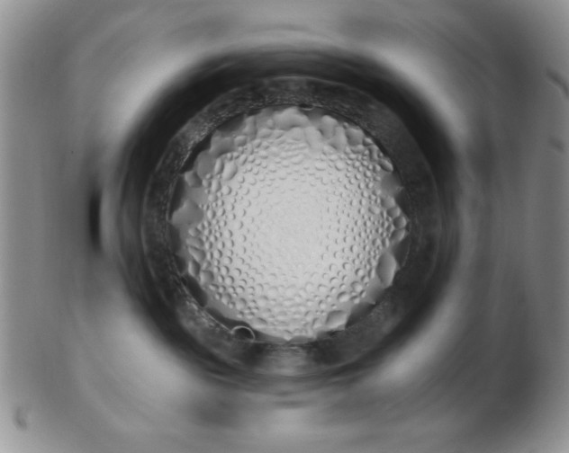 X0000103280189200809121953