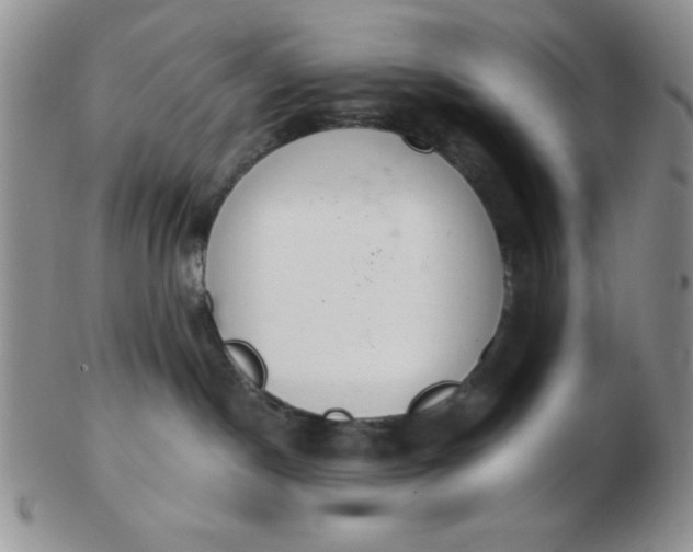 X0000103280190200809121953