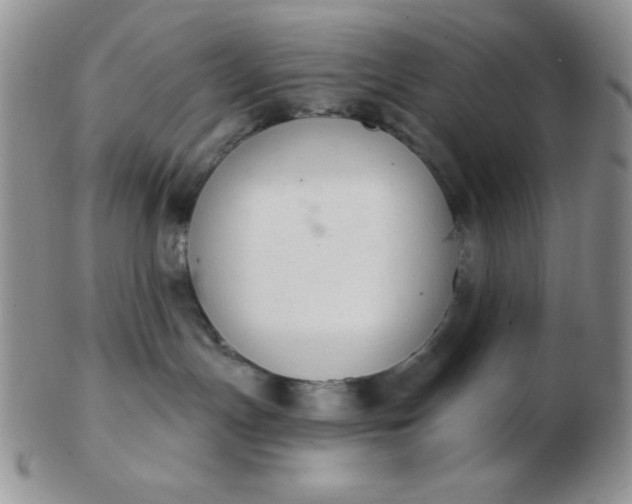 X0000103280191200809121953