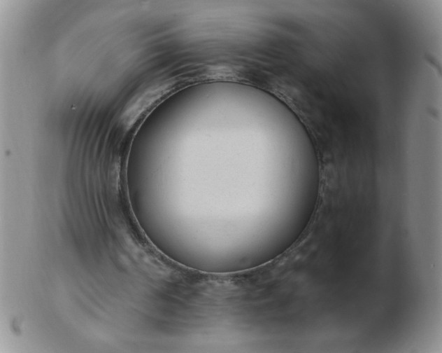 X0000103280194200809121952