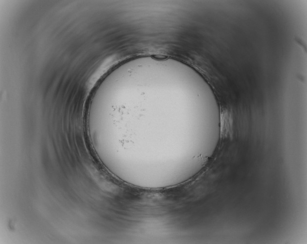 X0000103280195200809121952