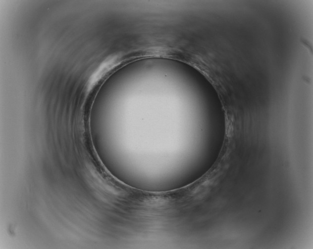 X0000103280198200809121952