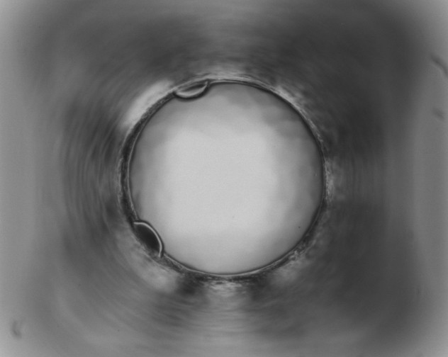 X0000103280199200809121952