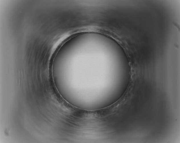 X0000103280200200809121952