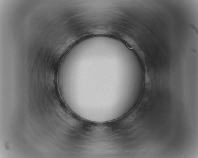 X0000103280201200809121952