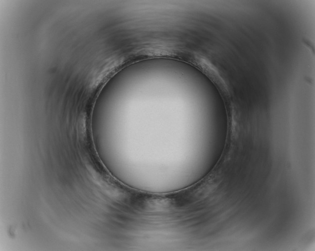 X0000103280202200809121952