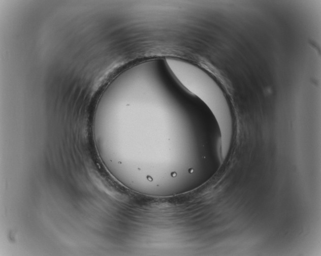 X0000103280203200809121952