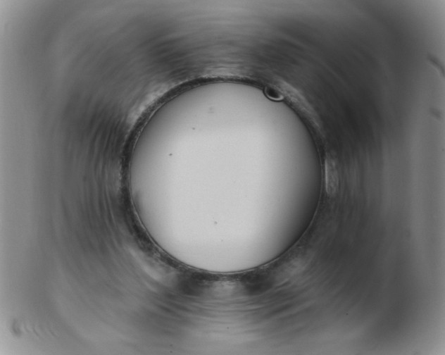 X0000103280204200809121952