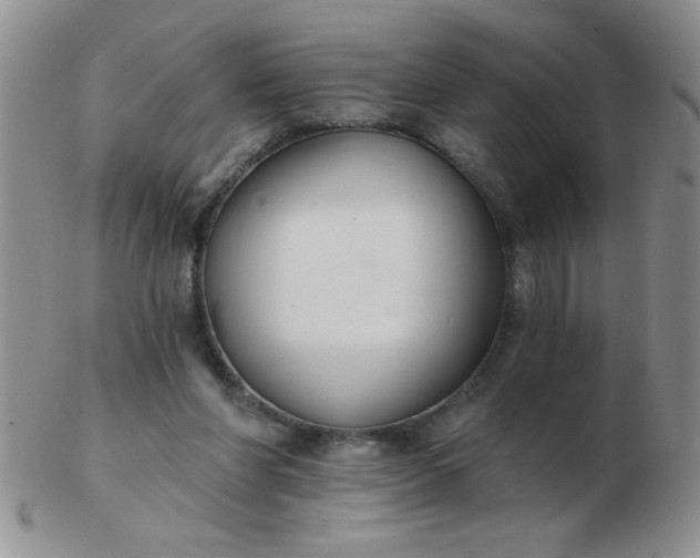 X0000103280206200809121952