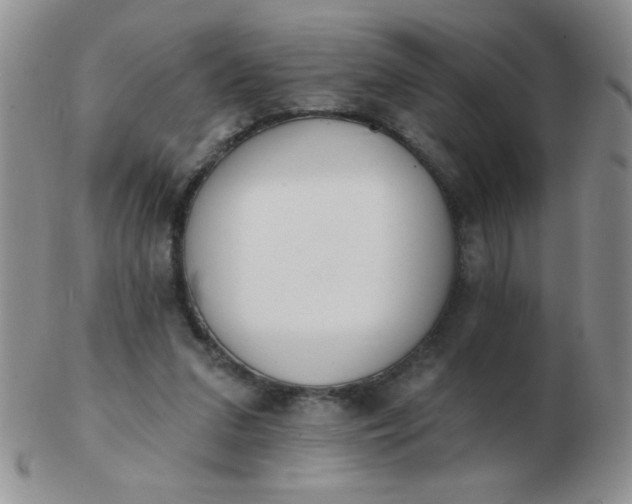 X0000103280207200809121952