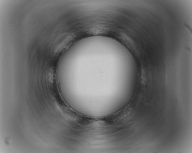 X0000103280210200809121952