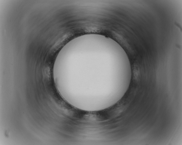 X0000103280211200809121952